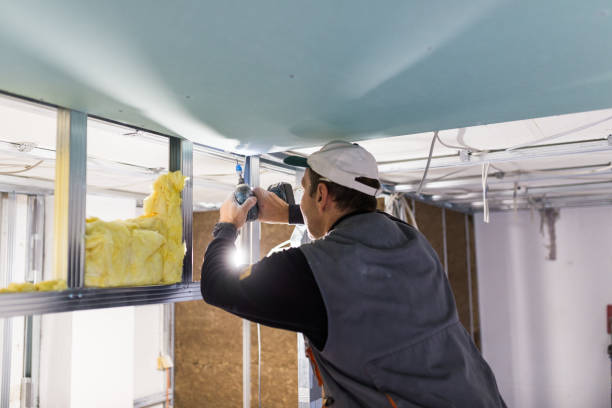 Best Types of Insulation in Lake Wylie, SC